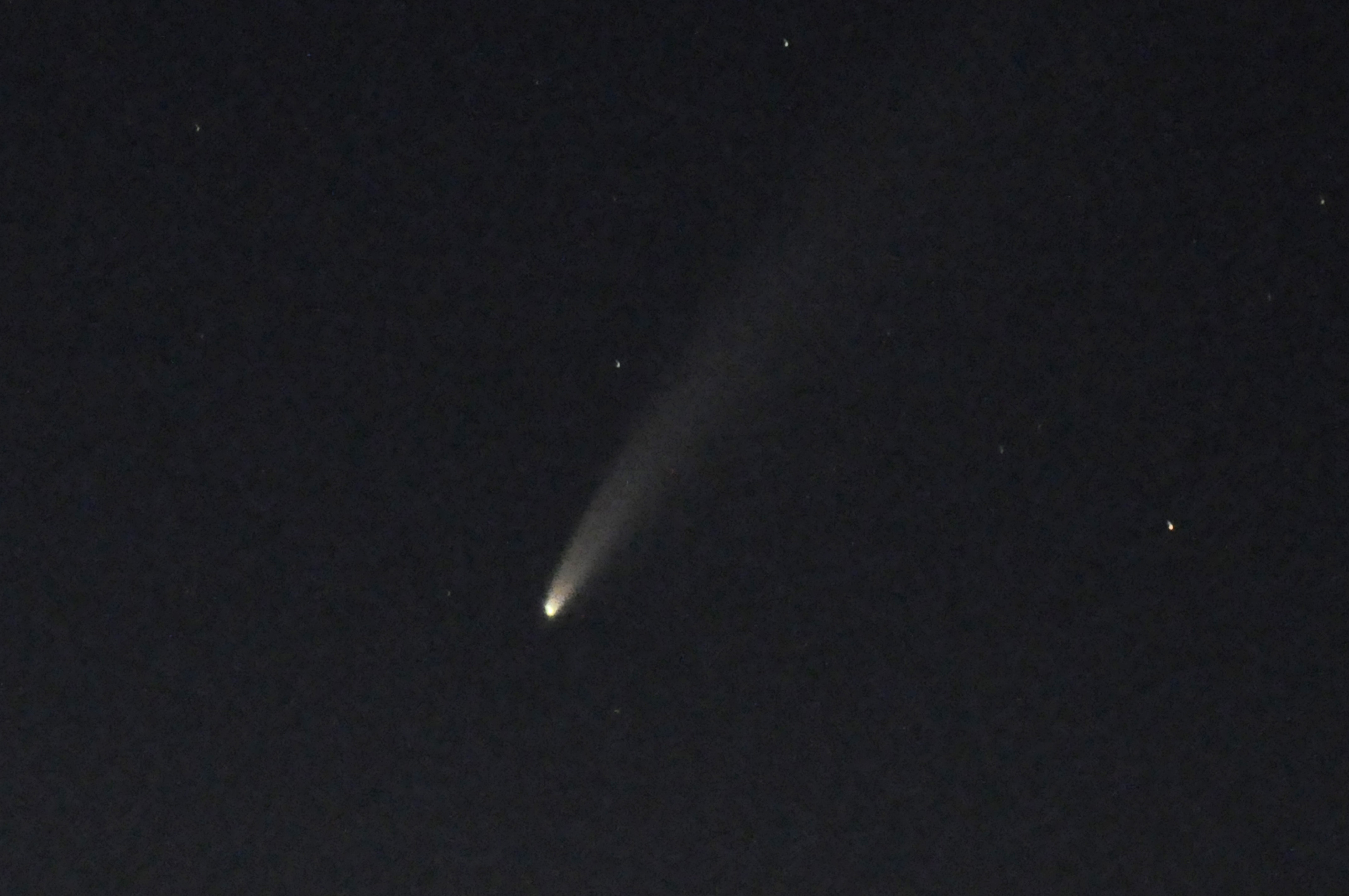 Comet neowise visible from Telford